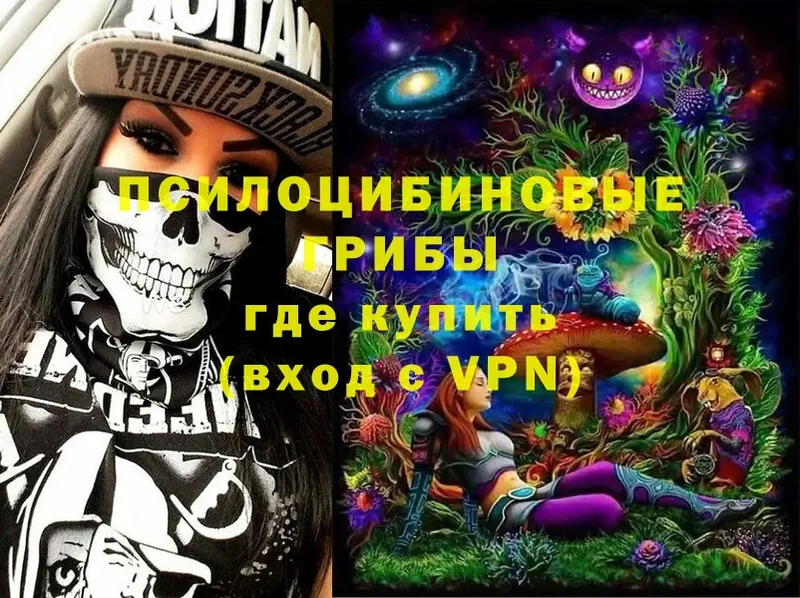 Псилоцибиновые грибы Magic Shrooms  цены   Шуя 